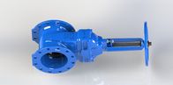 Roda de mão ou tampão superior válvula de porta operada da água vermelha/cola Epoxy azul revestida